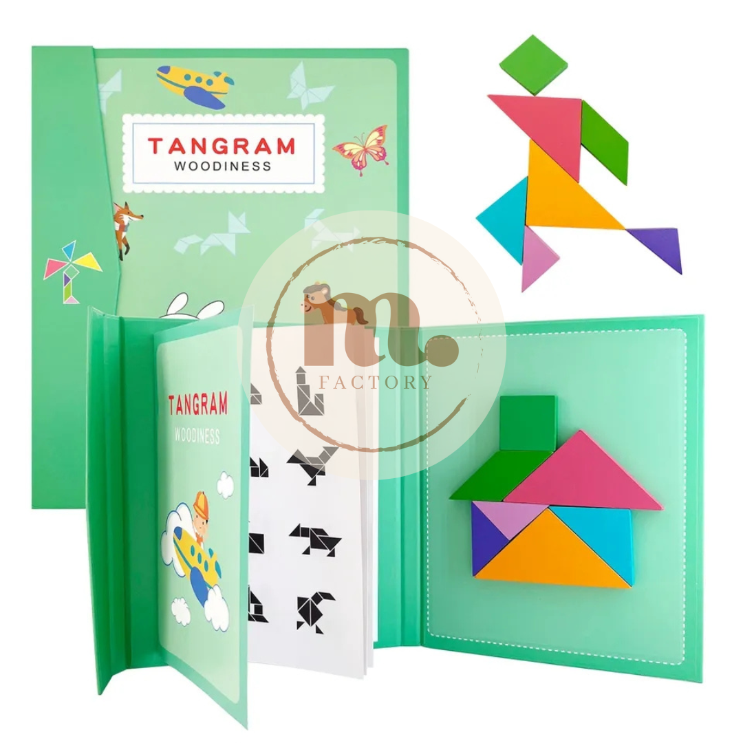 Puzzle TANGRAM 3D magnétique