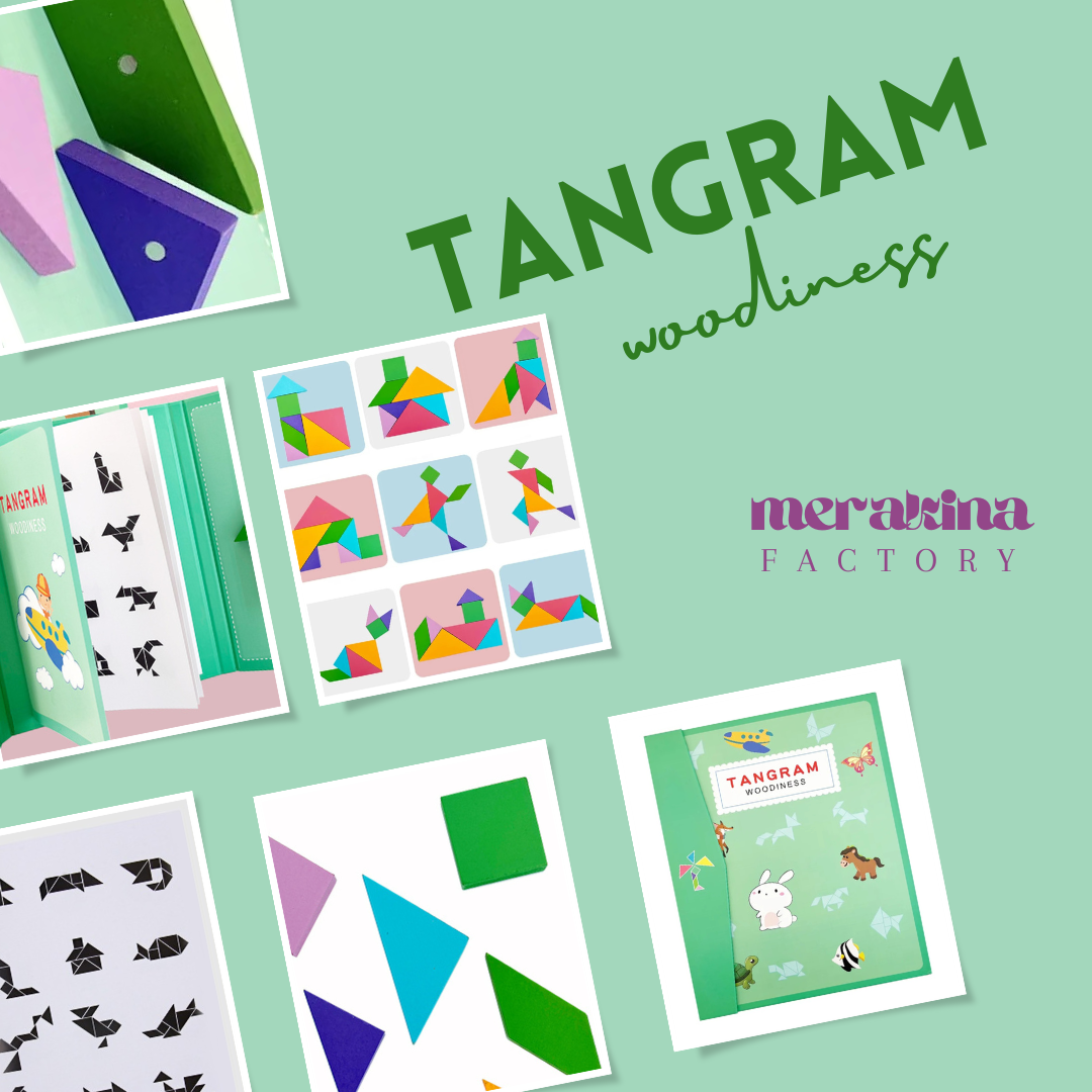 Puzzle TANGRAM 3D magnétique